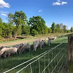 Heidegrund Petersfeld