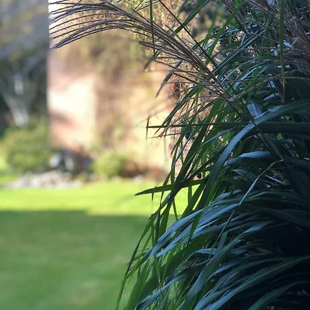 מלון Heidegrund פטרספלד