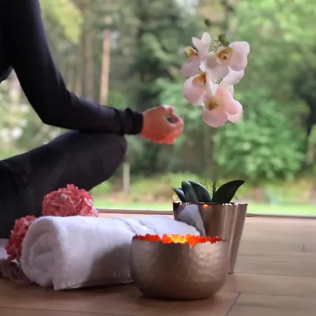 Heidegrund Hotell 4*