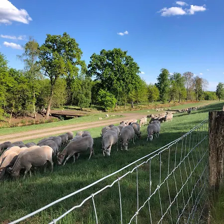 Heidegrund Petersfeld