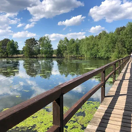 Heidegrund פטרספלד