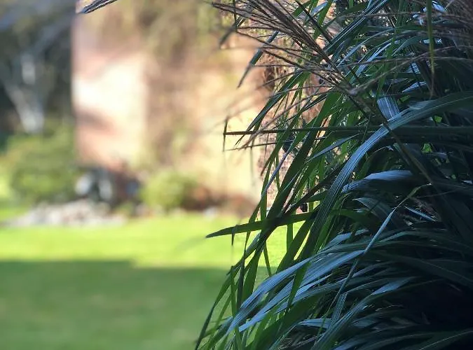 Hotel Heidegrund Petersfeld