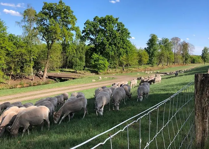 Heidegrund Petersfeld