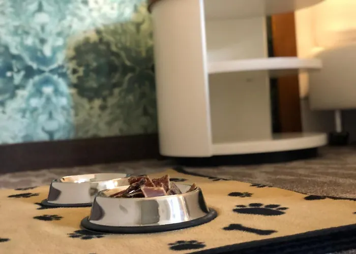 Heidegrund Отель Петерсфельд